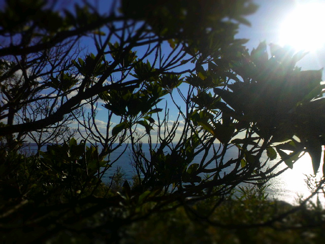 2013113019340000.jpg