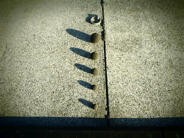 2013113019350000.jpg