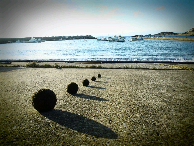 2013113019360001.jpg