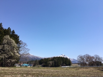 IMG_0790.JPG