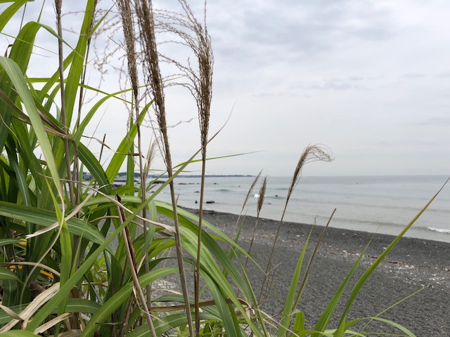 IMG_6947.jpg