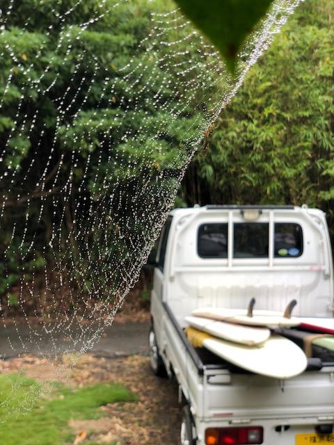 20180916_2677651.jpg