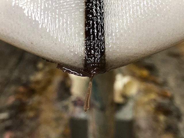 20181011_2693687.jpg