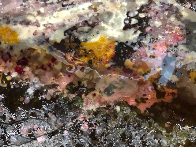 20181011_2693689.jpg