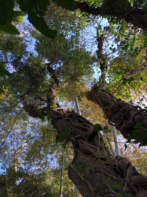 20181019_2698840.jpg