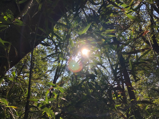 20181019_2698842.jpg