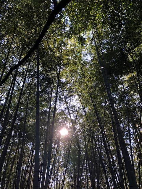 20181019_2698844.jpg