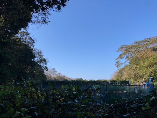 20181111_2715486.jpg