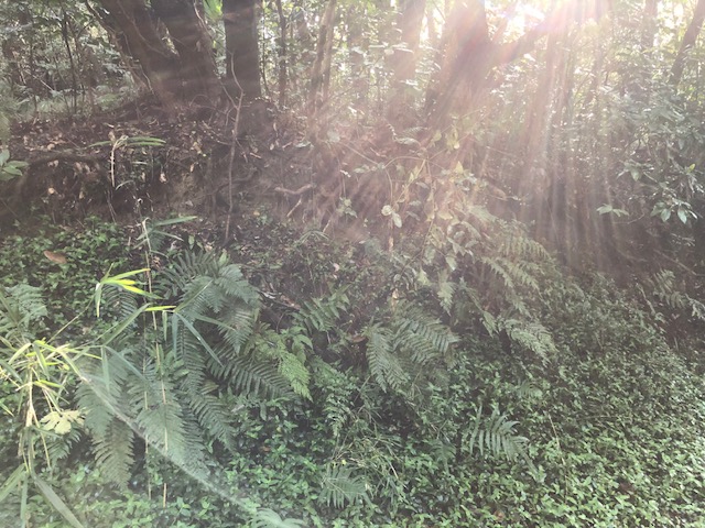 20181111_2715488.jpg