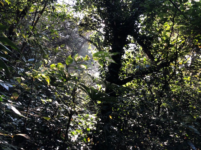 20181111_2715490.jpg