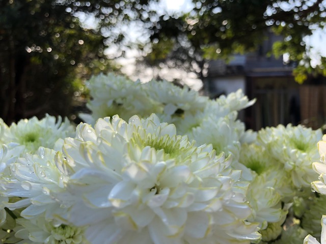 20181111_2715492.jpg