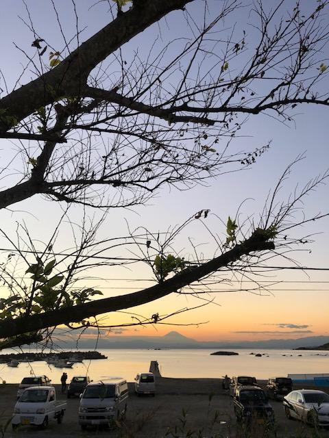 20181116_2718898.jpg