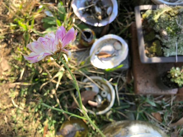 20181201_2728590.jpg