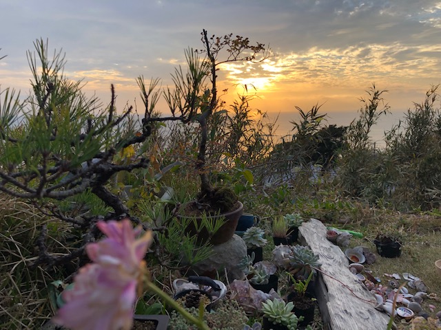 20181203_2730885.jpg