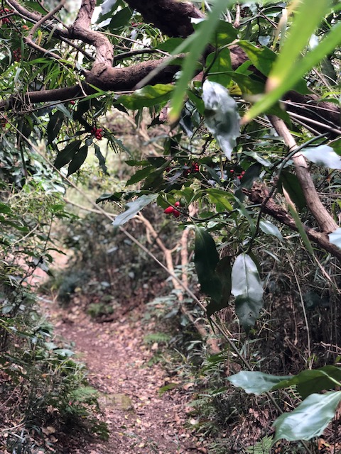 20190110_2754311.jpg