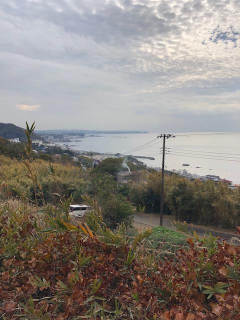 20190110_2754315.jpg