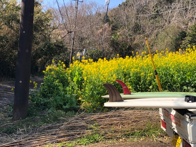 20190313_2794952.jpg