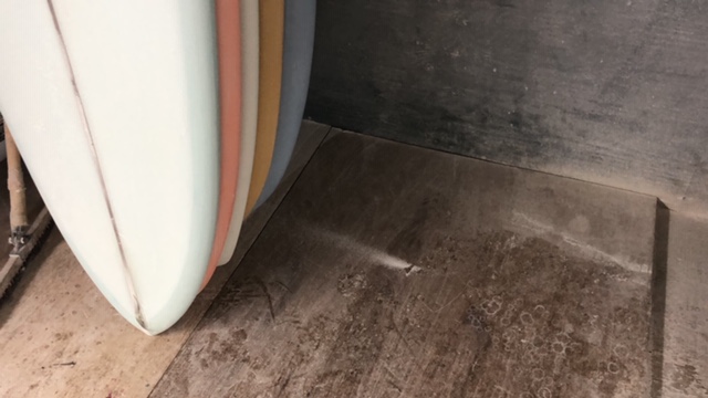 20190313_2794960.jpg