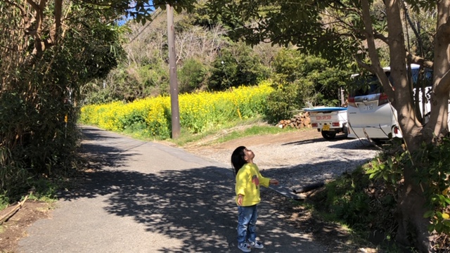 20190401_2808892.jpg