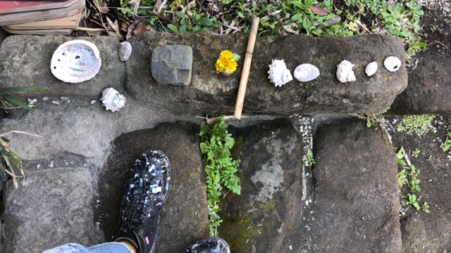 20190402_2809881.jpg
