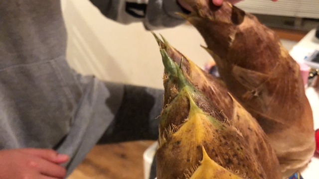 20190406_2812466.jpg