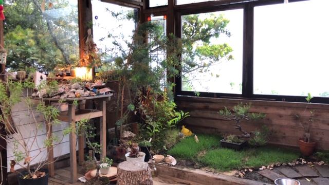 20190522_2843453.jpg