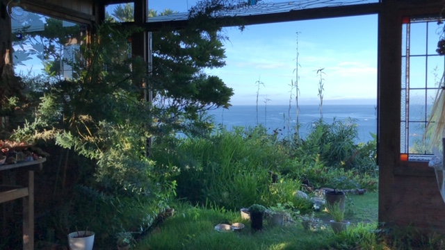 20190807_2890385.jpg