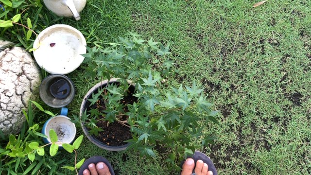 20190807_2890387.jpg