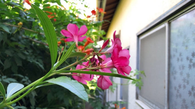 20190807_2890921.jpg