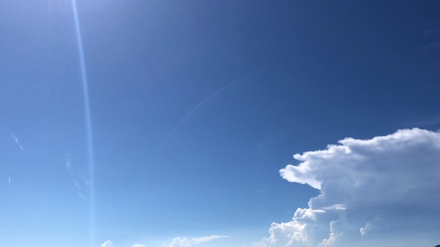20190809_2891431.jpg