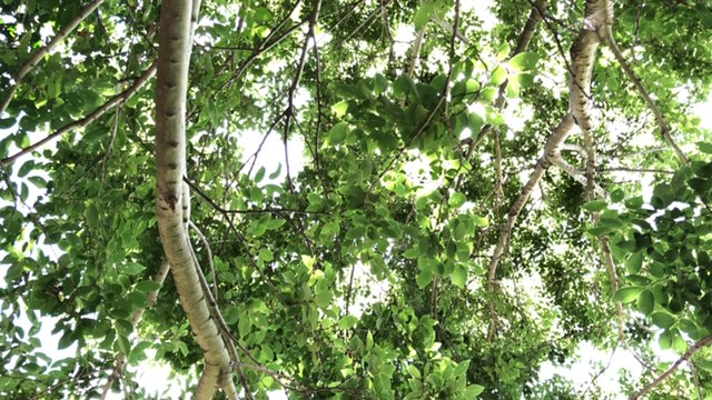 20190813_2894718.jpg