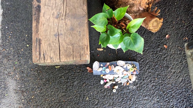 20190911_2908566.jpg