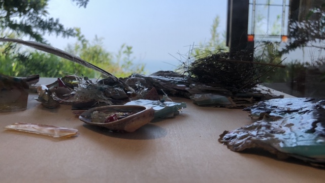 20190911_2909142.jpg