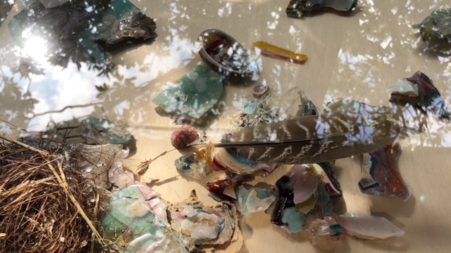 20190912_2909471.jpg
