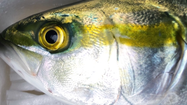 20190914_2910127.jpg