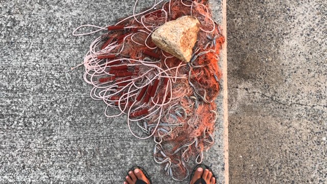 20190921_2913921.jpg