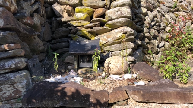 20190921_2913929.jpg