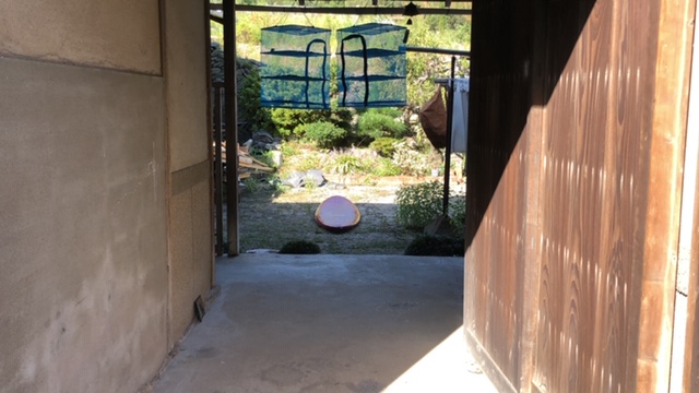 20190921_2913933.jpg