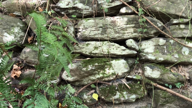 20190921_2913937.jpg