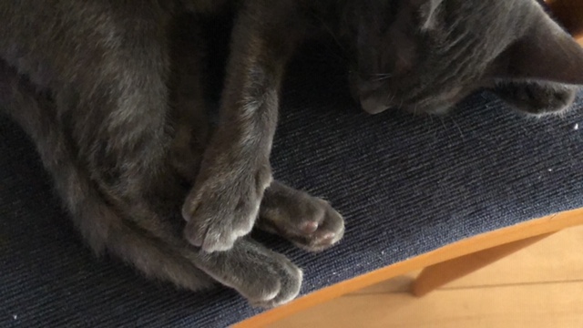 20190921_2913939.jpg