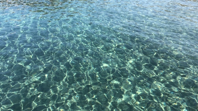 20191101_2938049.jpg