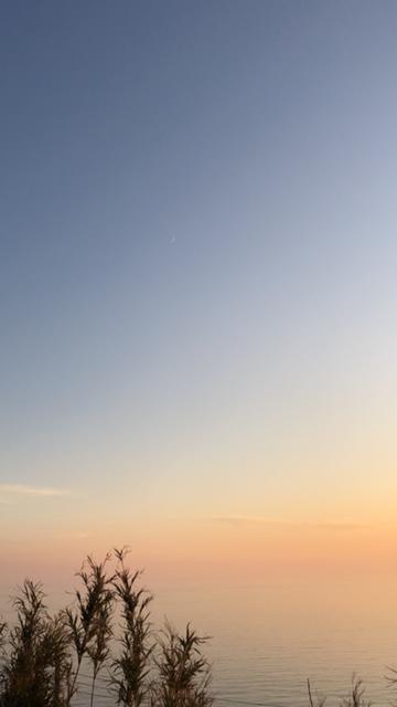 20191101_2938055.jpg