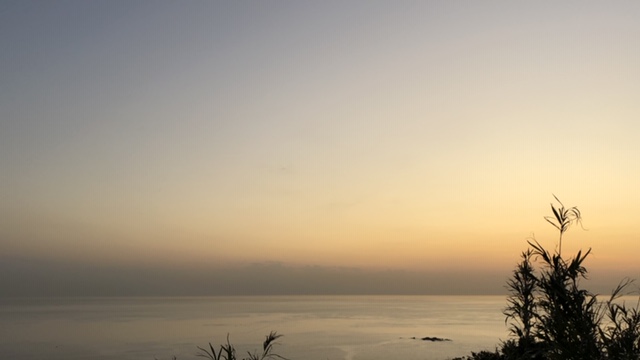 20191103_2938574.jpg