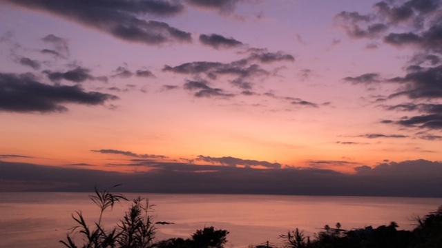 20191105_2939660.jpg
