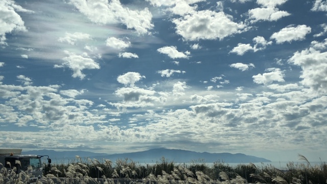 20191108_2941430.jpg