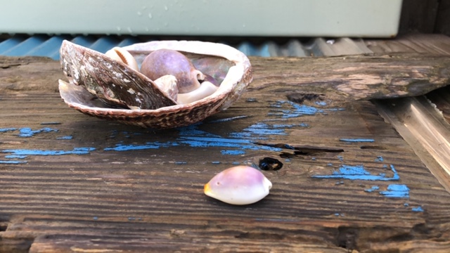 20191112_2944218.jpg