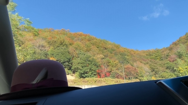 20191116_2946212.jpg
