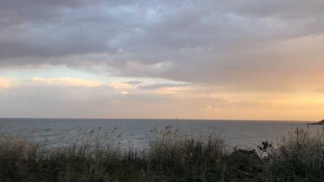 20191117_2946514.jpg