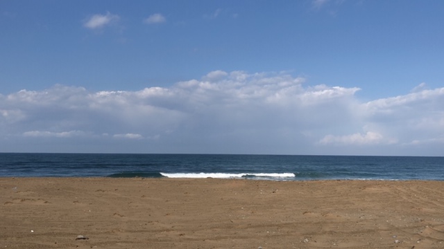 20191117_2946534.jpg