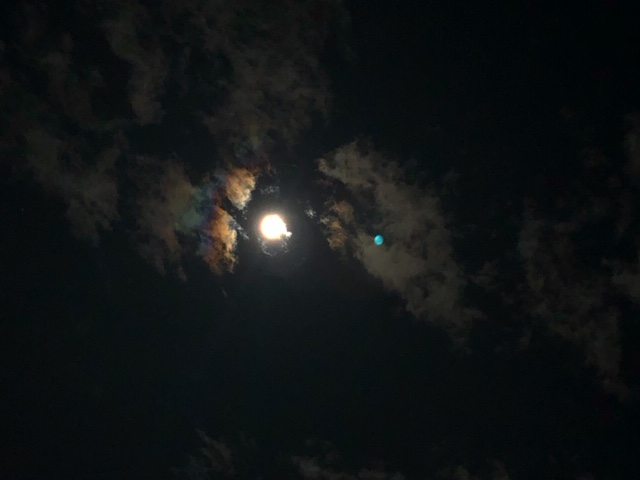 20191212_2960395.jpg